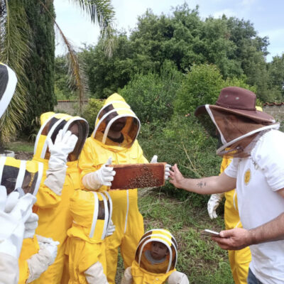 visite apiario