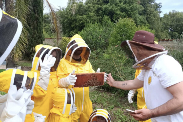 visite apiario